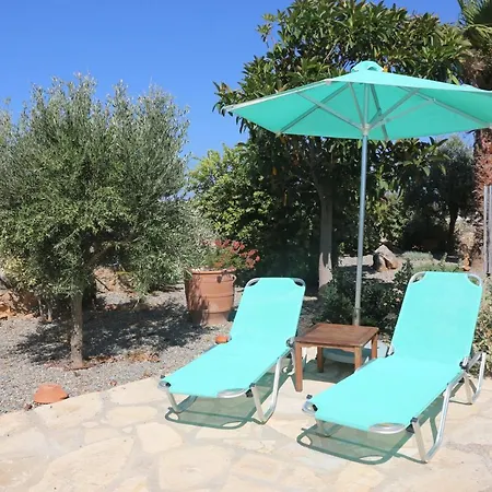 Garden Studio