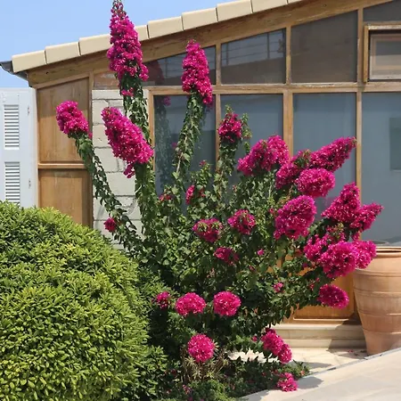 Chalé Garden Studio Kokkino Chorio